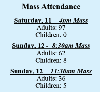 attendance